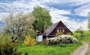 cottage-2955582_1920